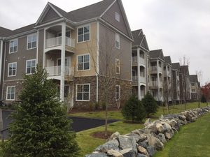 berry farms apartments